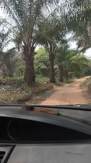 The path of salvation🔔⚕️🫅🦅🌊🧜 #Drbright #Mermaid #sirens #videos #Herbalife