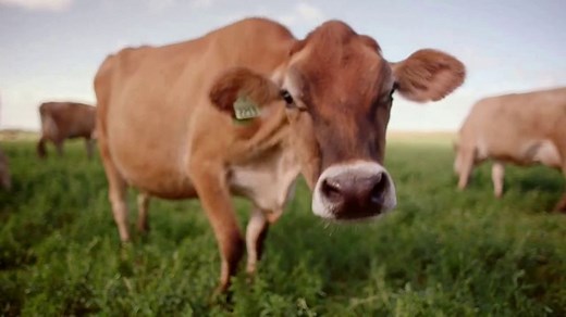 Wisconsin Cheese TV Spot, 'Farmer Pride'