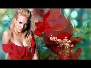 Des Roses Rouges pour un ange Blond