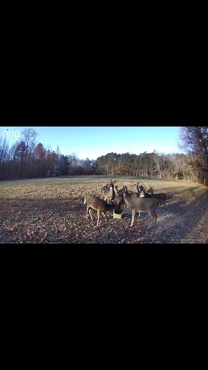 Wayne Perry on Reels | Facebook