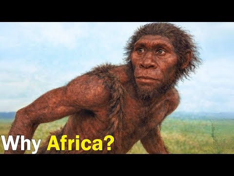 Why Africa Became the Birthplace of Humans | Documentary for Sleep