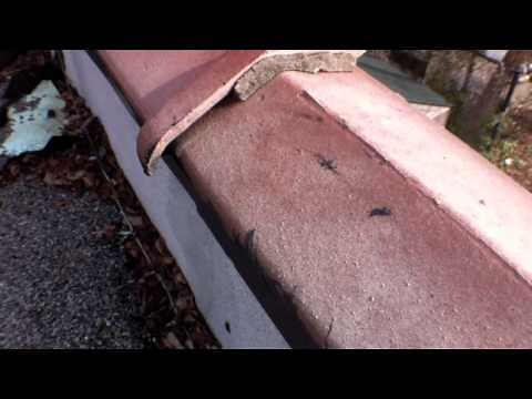 Parapet Water Leak Problems