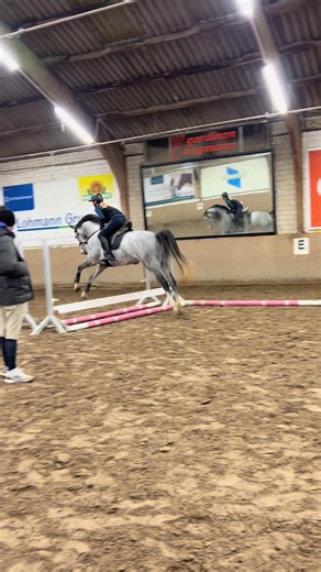 Erste Springstunde mit Bacardi: Ein Schritt zum Erfolg