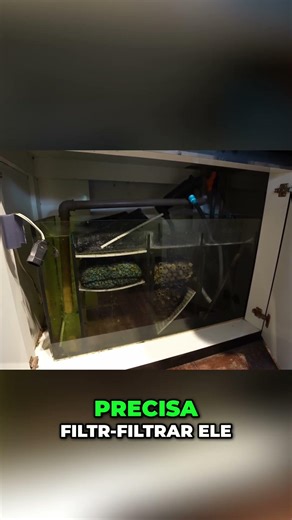 Ciclo do Nitrogênio Peixes, Amônia e Nitrato no Aquário