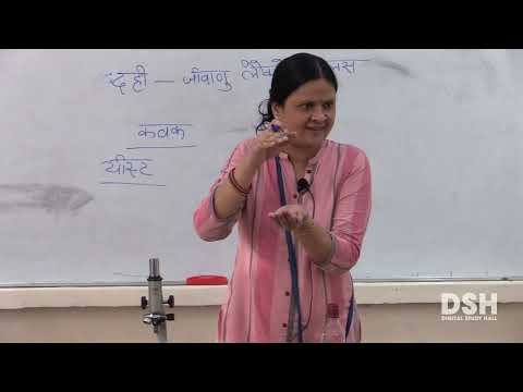 CBSE Board - Class 8 - Science - Chapter 2 - Microorganisms : Friend and Foe