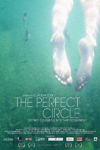 The Perfect Circle - Movie