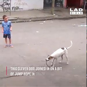 This dog is an expert jump roper! 🐶👏 | LADbible