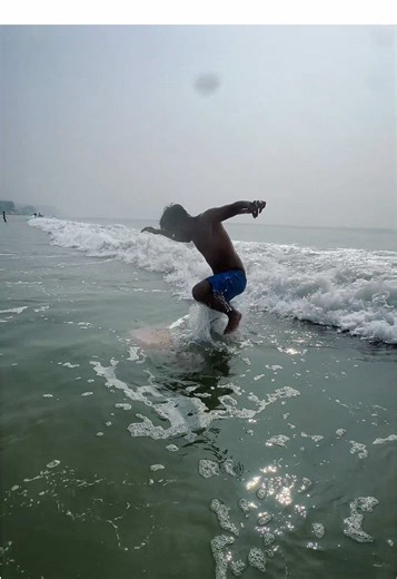 Jellyfish Wonders: Explore Aquatic Life