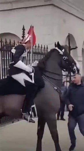 Get back from the kings lifeguard #thekingsguard | Ellis Young