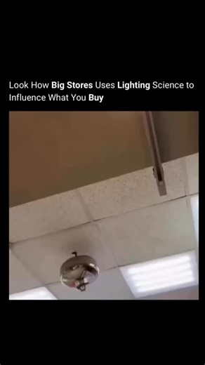 futuretech_universe on Instagram: "Grocery stores and big retail chains strategically use lighting science to influence customer behavior and boost sales. Bright, warm lights are often positioned in fresh produce sections, making fruits and vegetables appear more vibrant and appealing. This subtle visual trick encourages shoppers to buy more, tapping into psychology of perception in retail. Ambient lighting in supermarkets is carefully designed to create a comfortable shopping environment. Soft,