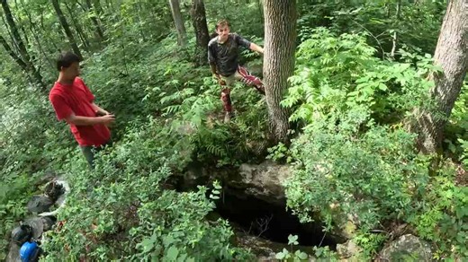 They crawled into a hole in the woods - and found a stadium-sized cave