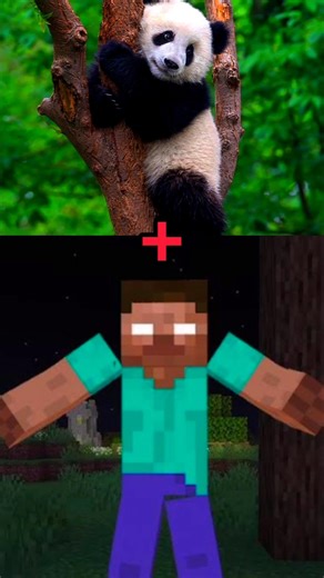 panda + herobrine = pandabrine 😭 #minecraft #gaming #shorts #viral #minecraftmemes