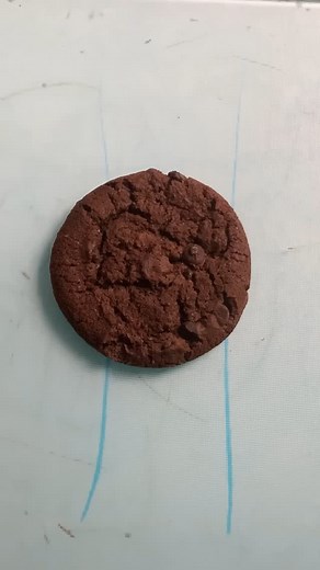 This Sunday is Groundhog Day 🦫 These are simple easy cookies to make to celebrate #groundhog #groundhogday | Mattaroons