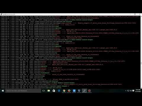 Contoh cara menggunakan linpeas untuk mendapatkan akses root pada suatu distro linux