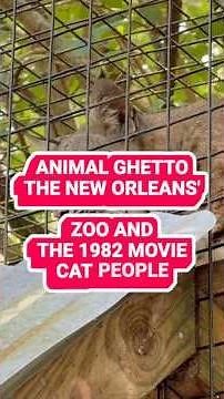 Cages, Cameras, and Cat People: The Dark Story of Audubon Zoo (1982)