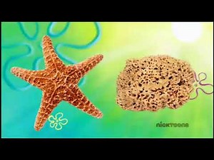 SpongeBob Evenings Promo - January 2022 (NickToons UK)