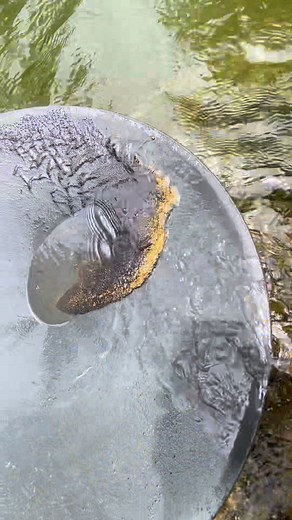 19K views · 144 reactions | The discovery of rare fossils in holes in rocks due to meteor impact | Afri Discovery | Facebook