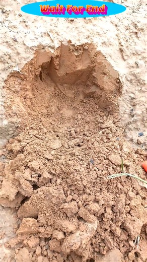 1.2K views | Treasure hunt with pinpointer metal detector #pinpointermetaldetector #metaldetecting #shortsfeed | Tej Gold Hunting | Facebook