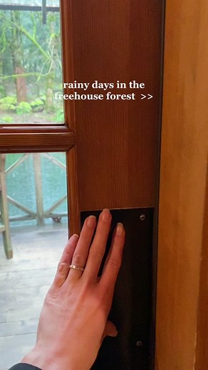 Rainy Day Treehouse Stay in Washington Forest