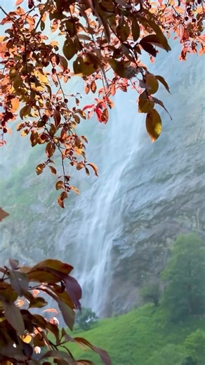 Shelly Smith on Instagram: "🎧 Quiet Bruises — Whiskey Circuit Studios A friend shared this and I’ve been listening to it on repeat.❤️ 💛This song is for the wounds you learn to hide. 💛The pain no one sees, but you carry every day. 💛Bruises that don’t show up on skin—but live in your nervous system, your silence, your self-doubt. Quiet Bruises gives language to what so many people endure quietly: – emotional harm – subtle control – love that hurts but doesn’t leave marks It’s the kind of song 