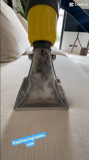 Nettoyage canapé avec style ! Injection extraction par un professionnel