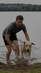 Brave Labrador Retriever Spots Power Pole About to Fall — Man Is Warned and Escapes Harm This video was created using AI for educational and storytelling purposes. No real animals were harmed. #labradorretriever #dogrescue #rescuedog #bravedog #doghero #petrescue #herodog | Snaptv US