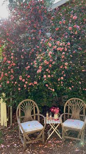 250 reactions · 17 shares | Can we take a moment to appreciate how...