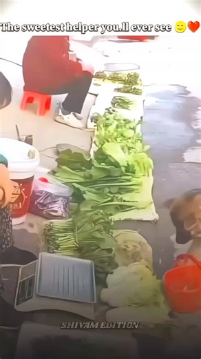 The Sweetest Helper You'll Ever See