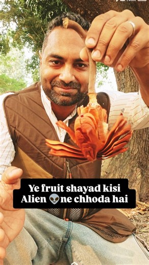 Sudhir Kumar | Ye wala fruit kahin kisi alien 👽 ne to nahi chhoda. #nature #unique #natureart #explore #follow | Instagram