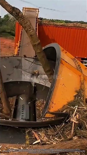 An industrial wood shredder that works with high precision
