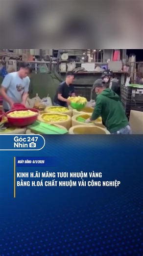 Kinh Hãi Măng Tươi Nhuộm Vàng - Sự Thật Đằng Sau