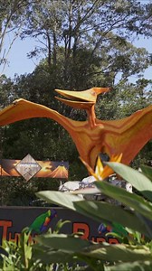 From thunderegg crystal mining to horse rides, laser skirmish, minigolf, bird feeding and ziplining, enjoy the ultimate family day out at Thunderbird Park. 🌳 | Experience Gold Coast