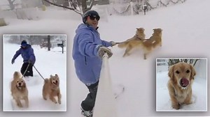 Snow cute! http://ietv.co/2jEQyEt | Inside Edition