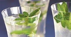Classic Mojito