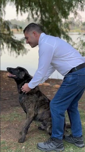 ¡Azam! #lomitos #lomitosuavecito #dogsoftiktok #perros #omargarciaharfuch #ogh #xochimilco