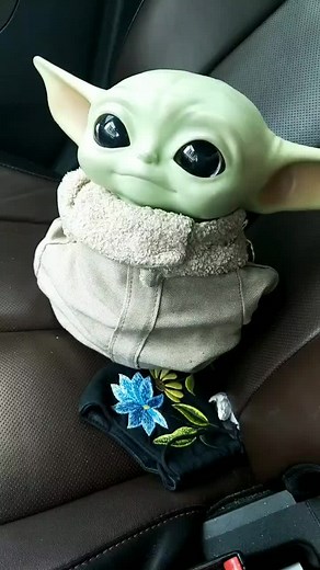 Raising BabyYoda on TikTok