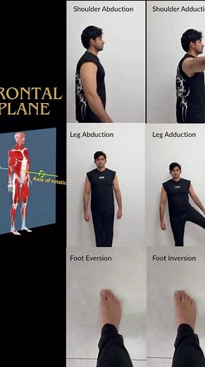 Frontal plane Movements