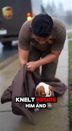This UPS driver saved this puppy’s life. ❤️ #animals