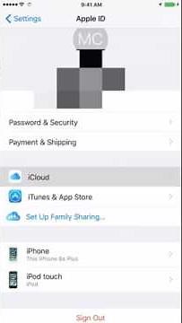 Check the time of last iCloud Backup