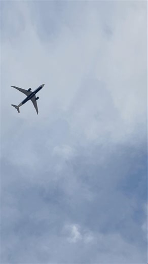 Delta Airlines A330-900 take off 🛫 #aviation #planespotting