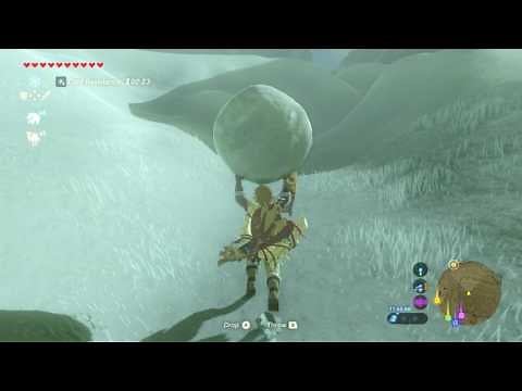 The Legend of Zelda: Breath of The Wild - Gee Ha'Rah Shrine