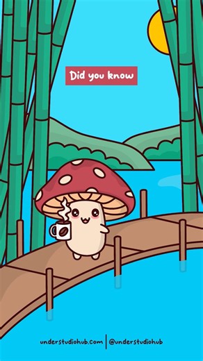 1.3M views · 20K reactions | Coffee v Green Tea ☕️ Original Audio: Karen Everage #coffee #tea #morning #life #animation #mushroom #understudio | Under Studio | Facebook