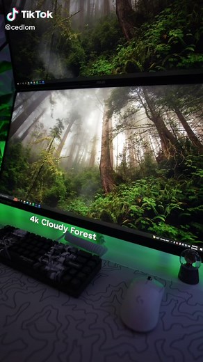 Green Wallpapers in 4K: Explore Vibrant Nature-Inspired Backgrounds