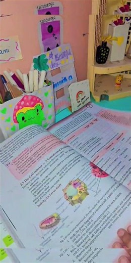 Summer Vacation Diaries | Study Vlog💓 #productivity #studyvlog #summervacation #vlog #diy #summer