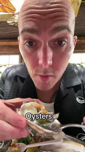 Rotten oysters taste like a fart | Oysters