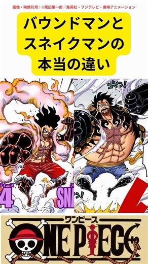 ギア4バウンドマンとスネイクマンの本当の違い【ワンピース考察】#ワンピース #ルフィ #ギア4 #shorts