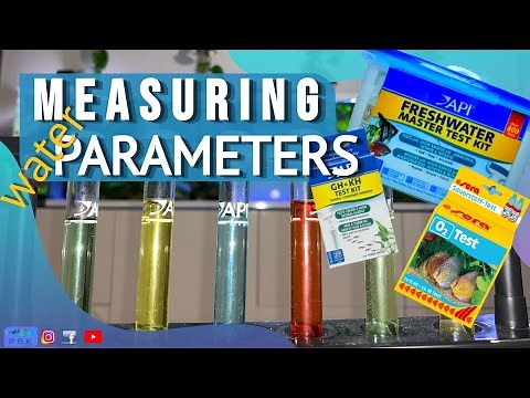 MEASURING WATER PARAMETERS IN THE DISCUS TANK | how to use API Freshwater Master Test Kit