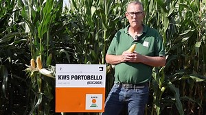 KWS PORTOBELLO - The front runner for short season yield!  Maize Product and Technical Sales Manager, Andrew Cook, explains the benefits of this high yielding variety. Check out our YouTube to watch the full video https://ow.ly/FgrU50QpeXI | KWS UK | Facebook