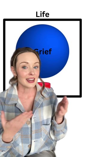 This is what made me finally understand grief- the box and the ball theory #hospicenurse | Hadley Vlahos