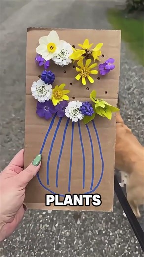 Her Cardboard Flower Pot Fills Up As She Walks